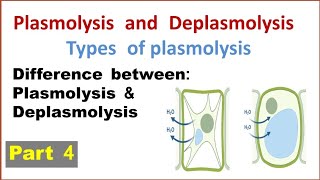 Plasmolysis and deplasmolysis  Types of plasmolysis  Difference between plasmolysis deplasmolysis [upl. by Olifoet]