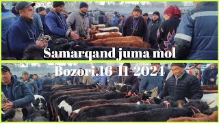 16112024 Samarqand Pastdargom juma mol bozori [upl. by Eniarrol]