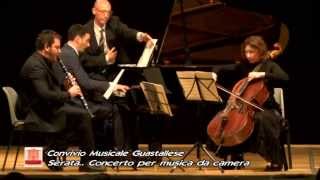 Concerto per Musica da Camera  sabato 26 aprile 2014 26042014  ore 2100 [upl. by Bill]