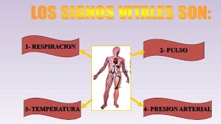 LOS SIGNOS VITALES [upl. by Talbott708]