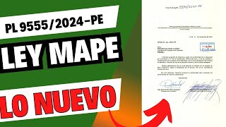 NUEVO PROYECTO DE LEY MAPE  ANÁLISIS COMPLETO [upl. by Naud798]