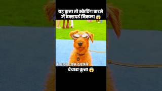 स्केटिंग का बादशाह 😎😱  short anime movie cartoon [upl. by Nnaear]