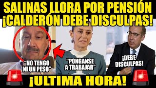 Salinas De Gortari pide su Pensión Felipe Calderón debe pedir Perdón a México ordena Sheinbaum [upl. by Dev911]