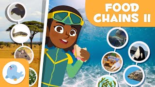 FOOD CHAINS for Kids 🌱⬅🐝⬅🐦⬅🐺 Terrestrial and Aquatic 🌼 Episode 2 [upl. by Cadman]