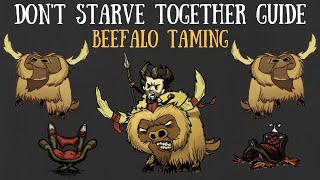 Dont Starve Together Guide Beefalo Taming [upl. by Hindu]