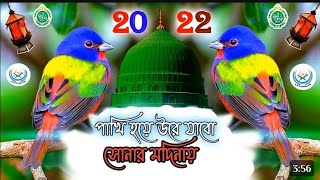 Pakhi hole ude jaitam Sonar madinaDanger Baba 420 [upl. by Raffin]