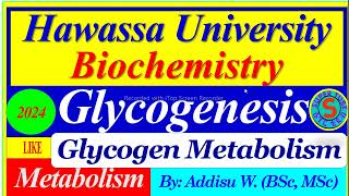 Glycogenesis Glycogen Synthesis  Glycogen Metabolism  carbohydrates metabolism biochemistry [upl. by Onitnatsnoc]