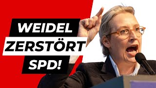 Unfassbar Alice Weidel zerstört SPD [upl. by Wittie]