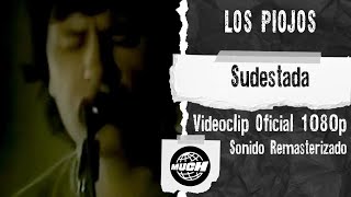 Los Piojos  Sudestada MuchMusic Remasterizado 1080p [upl. by Youngman]