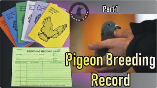 Pigeon Breeding Record Chart  For New Pigeon Fancier  Pigeon Loft Organizer  Pigeon Cote [upl. by Sitruk]