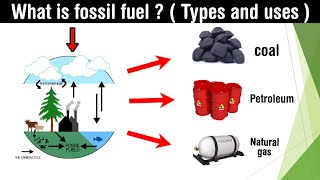 what is fossil fuel  types usespetroleum  coal  natural gas  in Hindi [upl. by Aticnemrac]