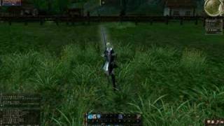 L2  Freya CT25  female Light Elf Mystic skill animations canceled [upl. by Edd700]