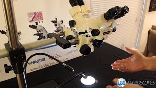 Dual Head Stereo Microscope System [upl. by Solram]