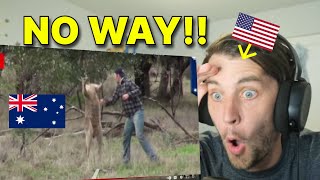 American reacts to Man vs Kangaroo The Most Australian video EVER [upl. by Akeihsat70]