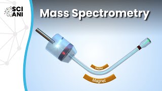 How does mass spectrometry work [upl. by Deeyn]