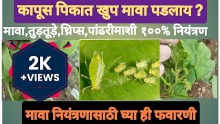 कापूस मावा कीड नियंत्रण kapus mava tudtude kitnashakcotton cotton aphid controlकापूस दूसरी फवारणी [upl. by Skoorb883]