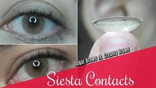 Siesta Sugar Brown vs Creamy Brown Color Contact Comparison discount danica10 [upl. by Lenka946]