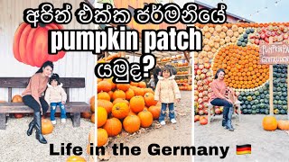 ජර්මනියේ pumpkin patchහරිම ලස්සන දවසක් Erlebnisbauernhof Gertrudenhofköln [upl. by Eanaj]