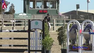 201S Taran Vixie on Runaway Princess SR Novice Show Jumping Woodside October 2024 [upl. by Loring291]