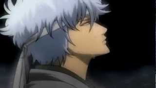 quotWe all know GintamaquotJust Gintama AMV [upl. by Htebizile710]