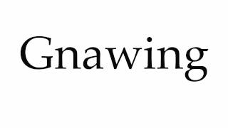 How to Pronounce Gnawing [upl. by Solraced385]