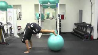 Killer Abs Exercise  Pike Roll Out on Fitness Ball [upl. by Deevan452]