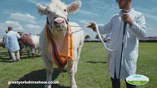 Great Yorkshire Show  TV Advert 2019 [upl. by Carlene592]