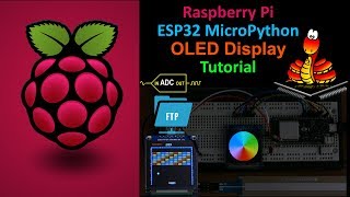 ESP32 MicroPython OLED Tutorial with ADC amp FTP [upl. by Eronel]