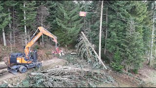 Holztransport 🇨🇭🌲 mit Forstseilbahn Koller 501  650m  Teil 2 [upl. by Uriel]