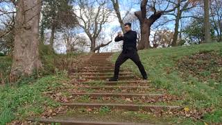 Grace in Motion Tai Chi Demonstration by Sifu Paul Tavares [upl. by Macomber40]