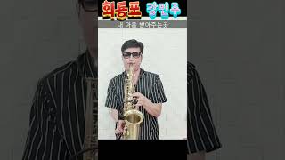 회룡포강민주포크박색소폰COVER [upl. by Japha]