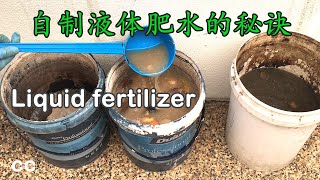 自已动手液肥制作liquid fertilizer for plants利用廚余發酵回收方法，再加上香蕉皮水果皮制成 肥水 的配方，稀释 后成为適合用於种菜的天然有機液体肥料 [upl. by Ajam]