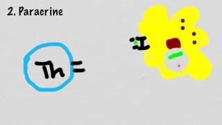 Mechanisms Of Cytokine Signaling [upl. by Buddy796]