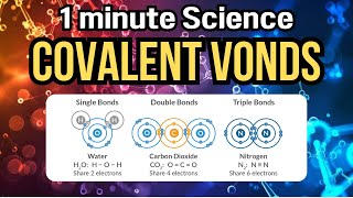 Covalent bond Visualized  1 minute science [upl. by Benson]