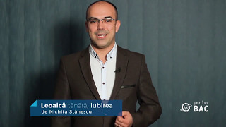 13 Leoaică tânără iubirea de Nichita Stănescu  prof Gabriel Braic PROMO [upl. by Gwennie917]