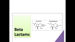 10 Beta lactams [upl. by Notsuh]