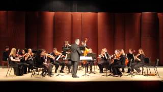 PYO Youth Orchestra Bossa Azul by Bert Ligon [upl. by Alben232]