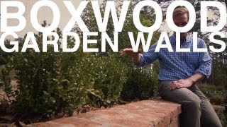 Boxwood Garden Walls  The Garden Home Challenge With P Allen Smith [upl. by Allenotna]