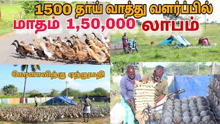 🔥 நாட்டு வாத்து வளர்ப்பில் மாதம் 150000 லாபம் 💢 pannaiveedu chennai [upl. by Tonye489]