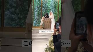 【可愛すぎるハプニング】この後ベールが〇〇に？！ウェディング結婚式挙式プレ花嫁ぷれ花嫁リングドッグ [upl. by Thetis]