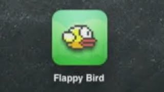 Flappy birdoriginal 2013 iOS Gameplay in 2024 [upl. by Mettah]