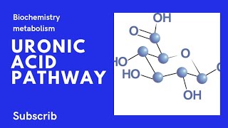 uronic Acid Pathway with tricks To remember [upl. by Sandi]