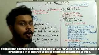 Dot blot technique  principle  procedure and application [upl. by Demmahom]