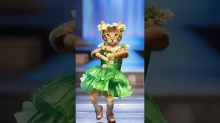 Cat dance videopatlikameriya mori haishortsyoutubeshorts viralsongcat funny 😻😴🙏 [upl. by Neyut]