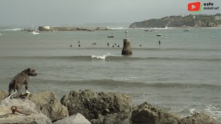 SURFING SOCOA  🏄‍♂️ Longboard dans la Baie  ESTV Euskadi Surf TV [upl. by Doreen]