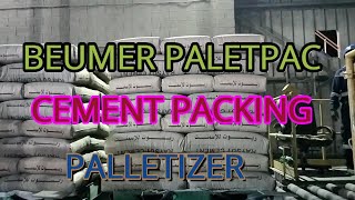 BEUMER Paletpac cement packingpackingpalletizeryutube [upl. by Rettke204]