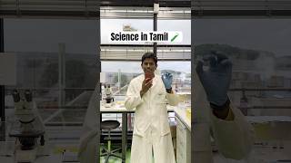 Why cells stored in 80 degree Tamil Scientist in Germany scienceexperiment tamilsciencevideos [upl. by Nrev476]