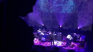 Wilco — How to Fight Loneliness  Live from Austin Texas October 2019 [upl. by Teillo]