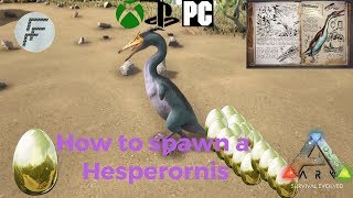 Ark Survival Evolved How to spawn a Hesperornis [upl. by Harshman600]