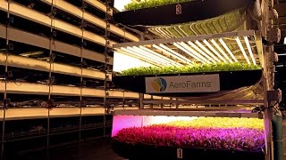 What is vertical farming [upl. by Smoot55]